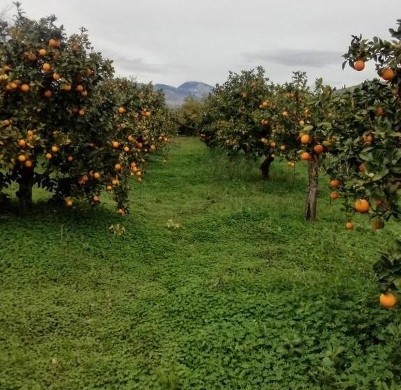 בית מלון כפרי Agriturismo Serra Pernice