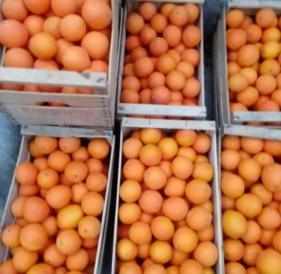 בית מלון כפרי Agriturismo Serra Pernice