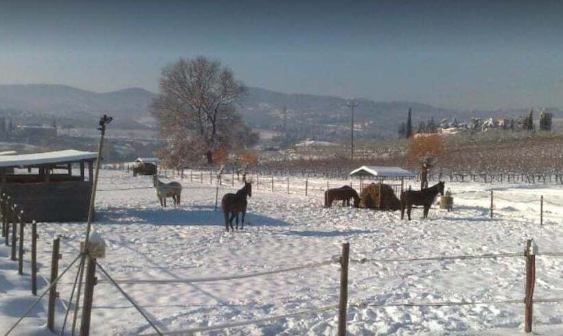 هتل روستایی La Capannaccia