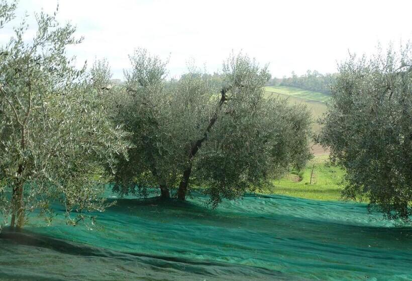 בית מלון כפרי La Fortezza Alta