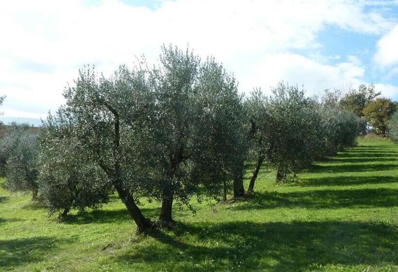 בית מלון כפרי La Fortezza Alta