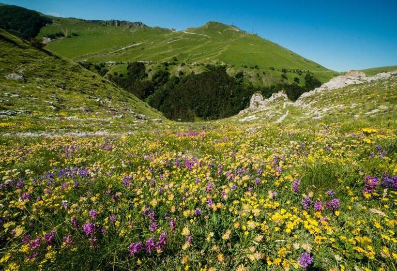 فندق ريفى Locanda Della Rocca