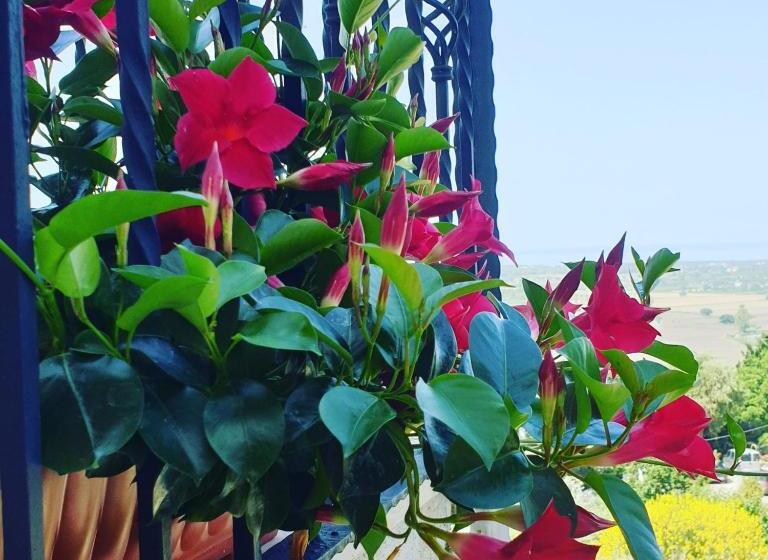 هتل روستایی Torre Dei Venti