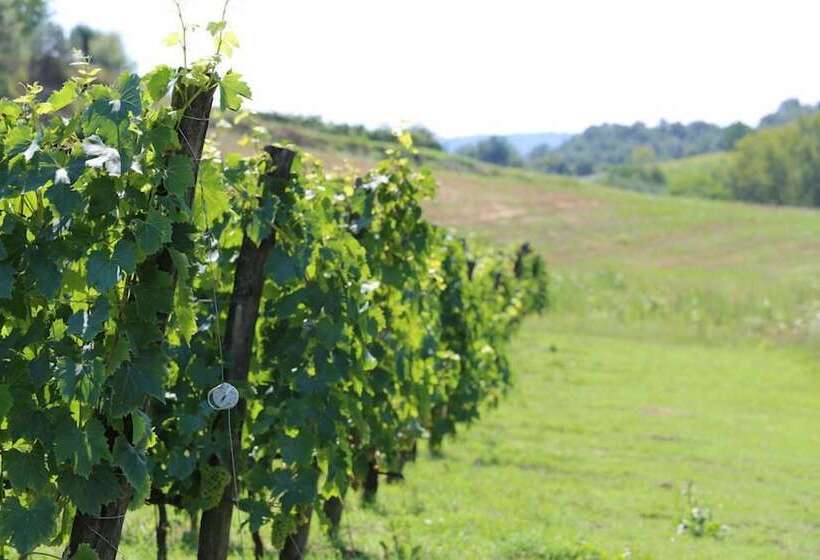 교외 호텔 Podere Della Bruciata B&b