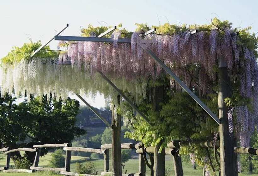 교외 호텔 Podere Della Bruciata B&b
