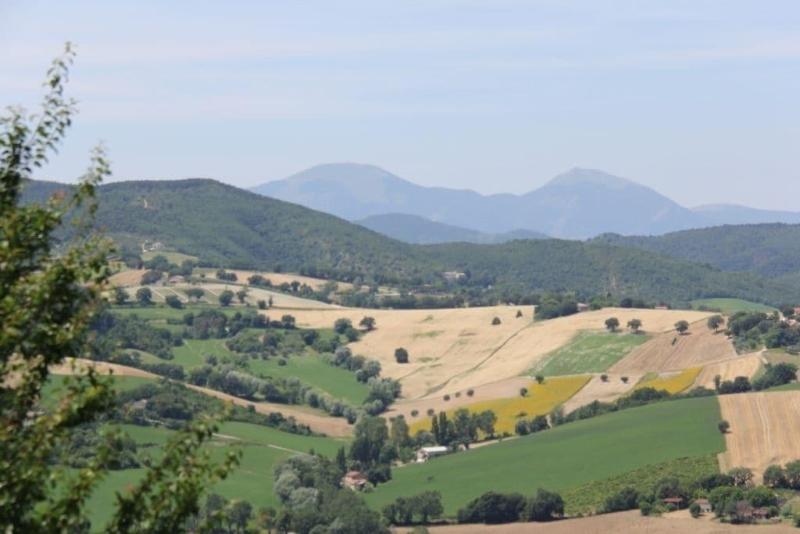 Il Castello Country House