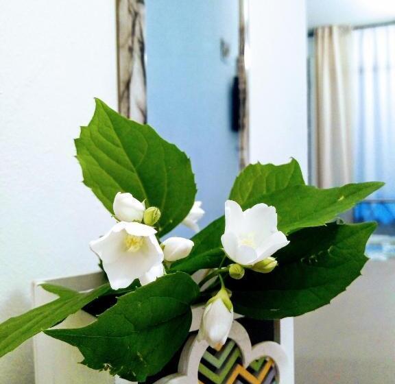 펜션 Affittacamere Rizzoli