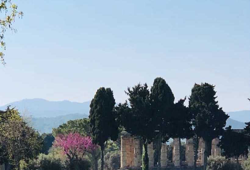 膳宿费 B&b Abaton