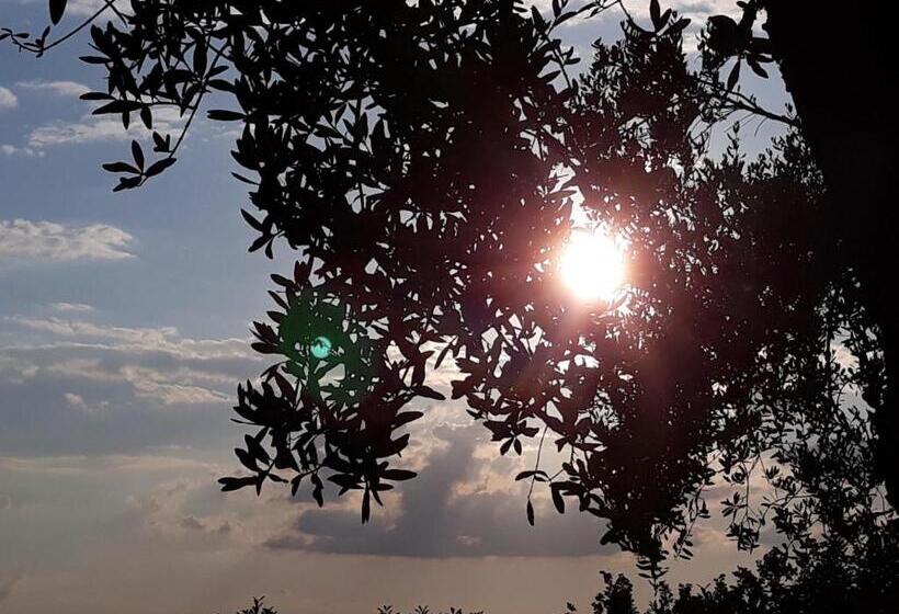 פנסיון L Orto Sul Poggio