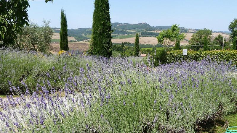 Podere Poggio Al Sole