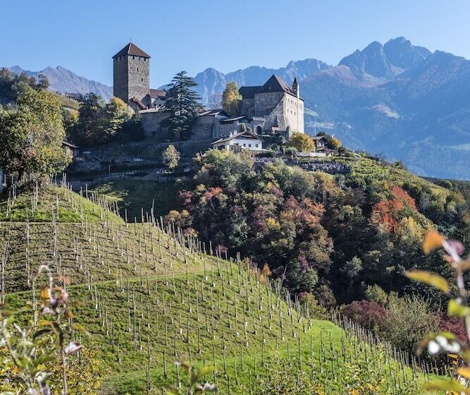 Vinea Suites & Apartments