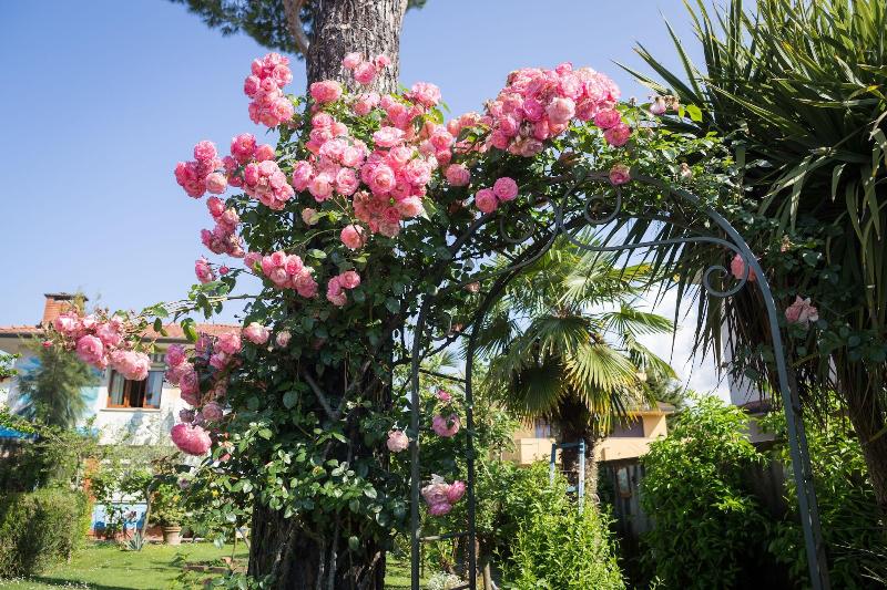 B&b Due Passi Dal Mare