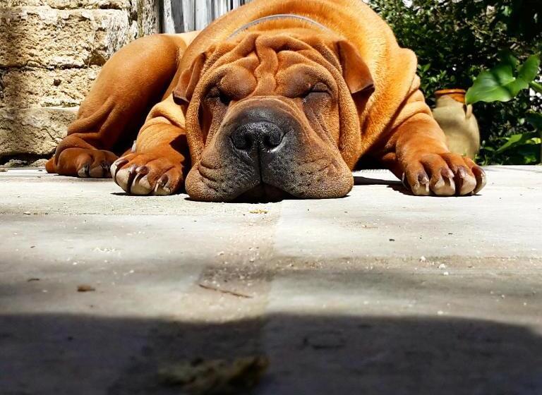 B&b Giardino Nascosto Taviano