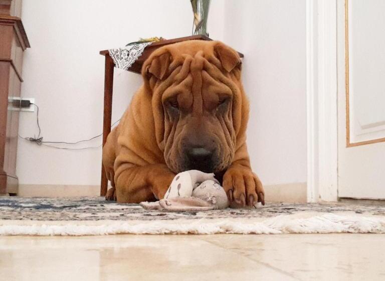 B&b Giardino Nascosto Taviano