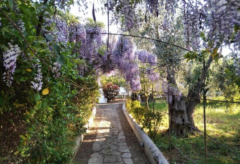 B&b Masseria Liberatore