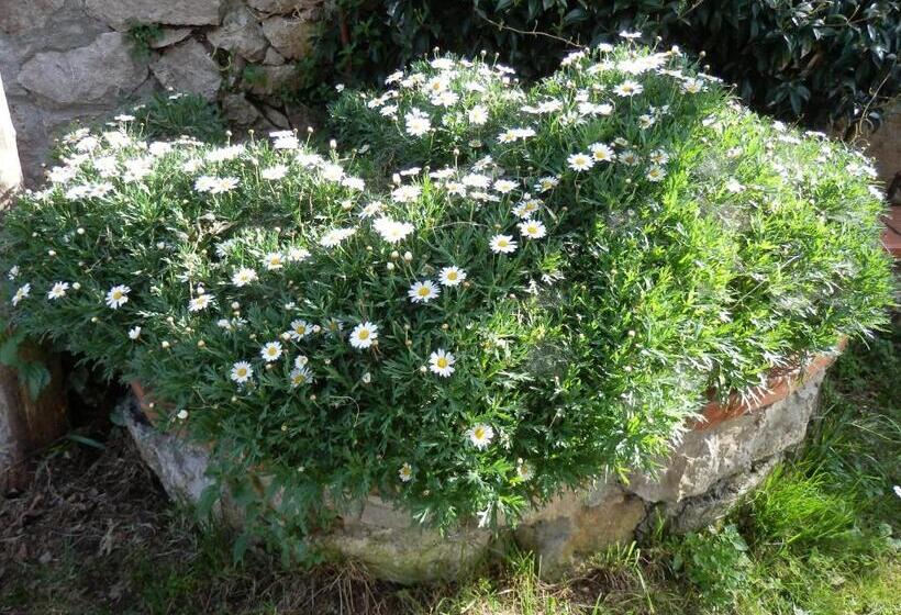 ベッドアンドブレックファースト Giardino 21 Marzo