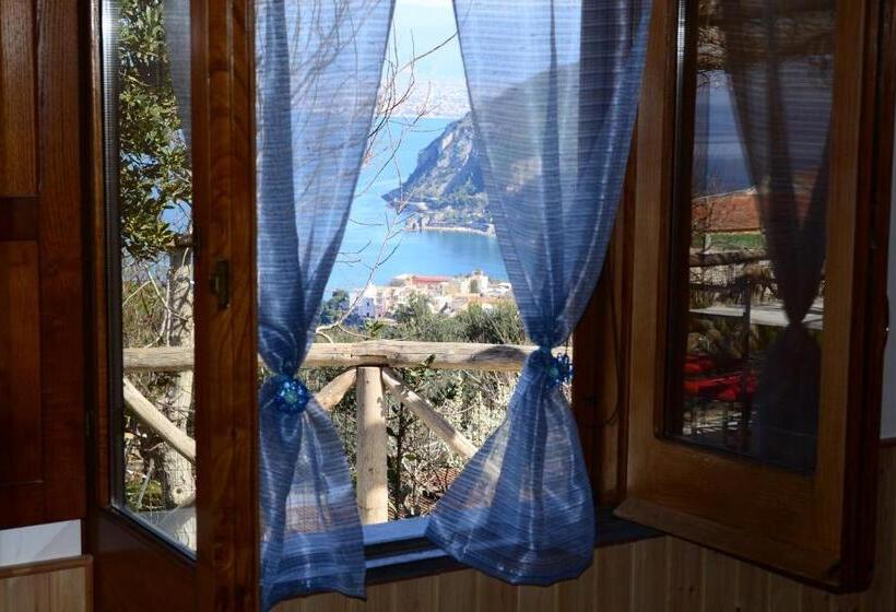 ベッドアンドブレックファースト Giardino 21 Marzo