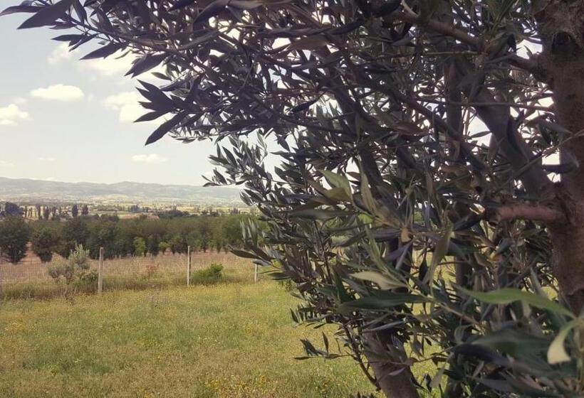 تختخواب و صبحانه Le Querce Di Mamre