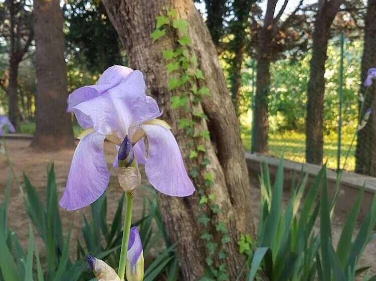 مبيت وإفطار Meravilla