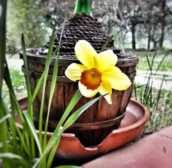 مبيت وإفطار Meravilla