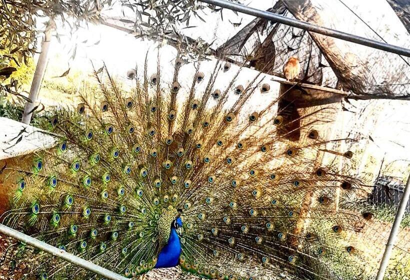 Bed and Breakfast Prima Luce