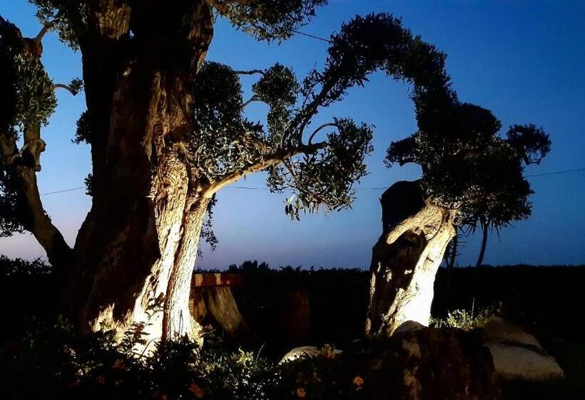 Bed and Breakfast Prima Luce