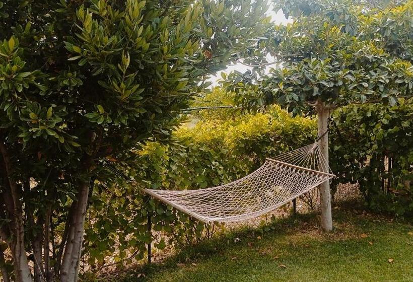 Bed and Breakfast Prima Luce