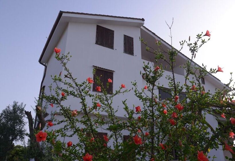 مبيت وإفطار Stella Dei Venti