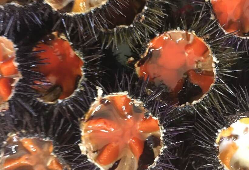 פונדק Sax Palazzo Sarro