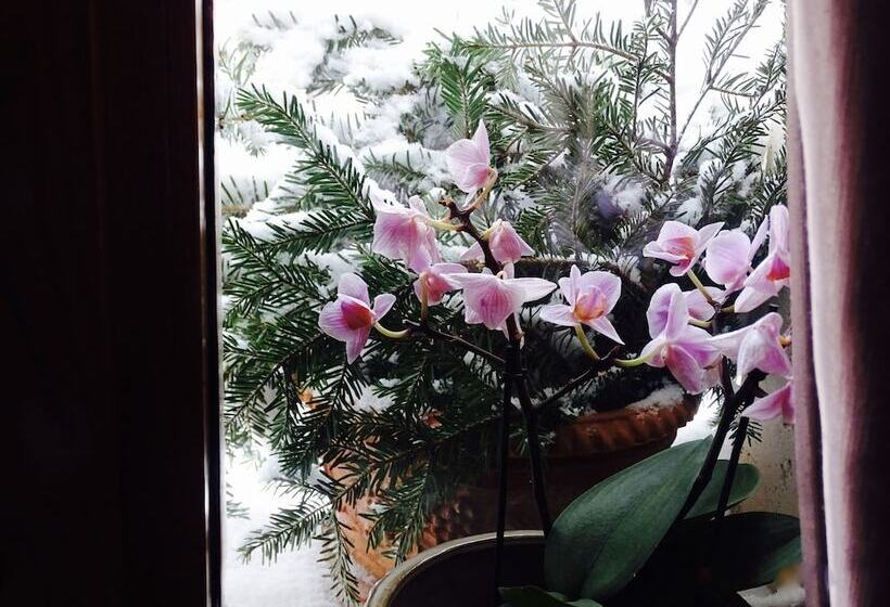 酒店 Archi Del Sole & San Rocco