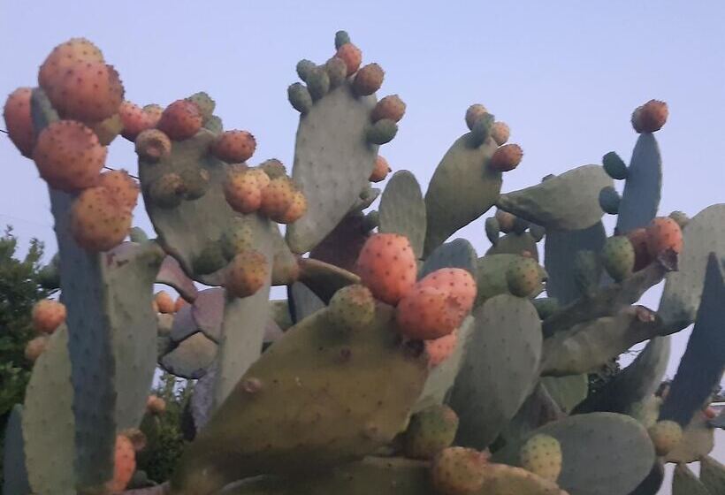 교외 호텔 Agriturismo Terra Dei Profumi