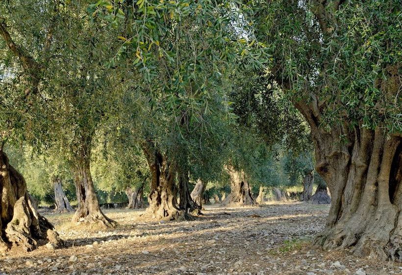 בית מלון כפרי Masseria Le Macine