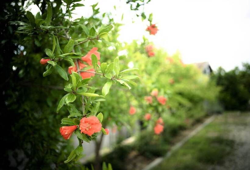 בית מלון כפרי Zà Culetta