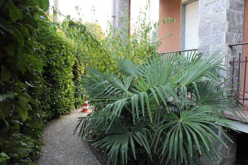 B&b Milano Malpensa 1