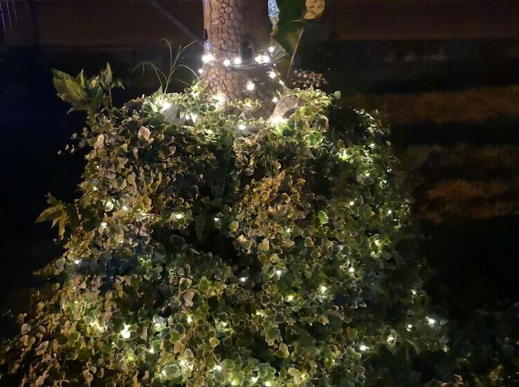 Bed And Breakfast Anna