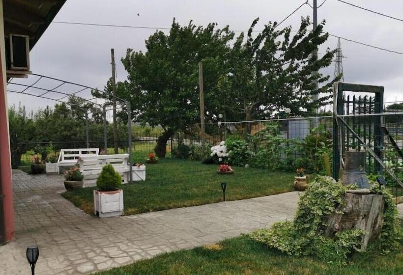 Bed And Breakfast Anna