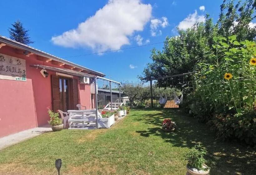 Bed And Breakfast Anna