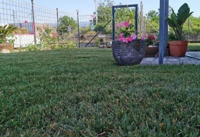 Bed And Breakfast Anna