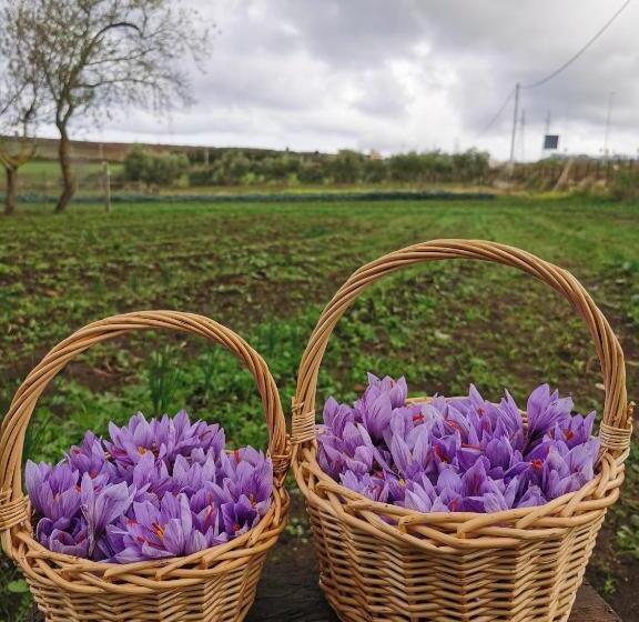 Bed And Breakfast Anna