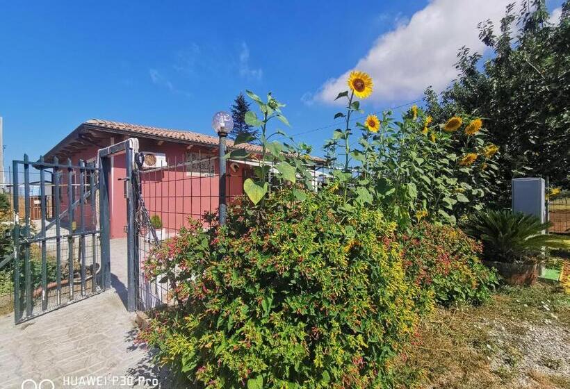 Bed And Breakfast Anna