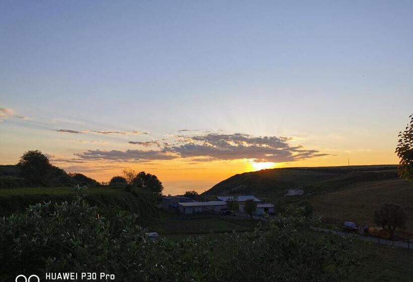 Bed And Breakfast Anna