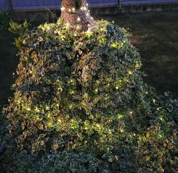 Bed And Breakfast Anna