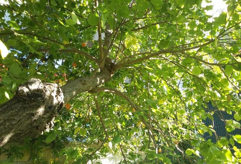 צימר Cusanarella Mia