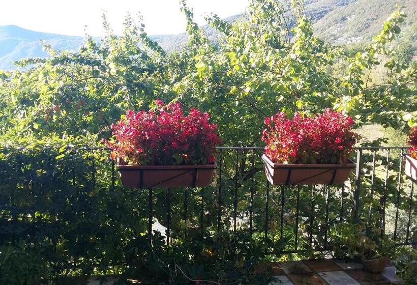 צימר Cusanarella Mia