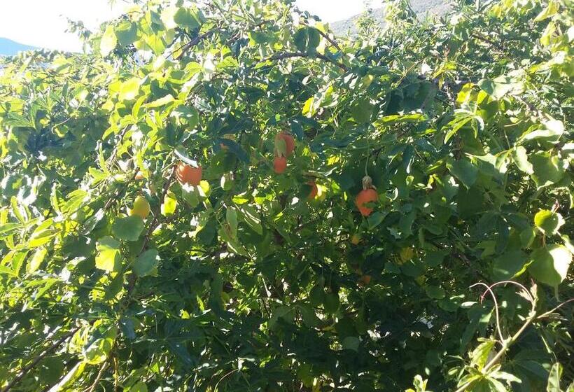 צימר Cusanarella Mia