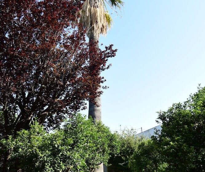 Bed and Breakfast Giardino Arancio