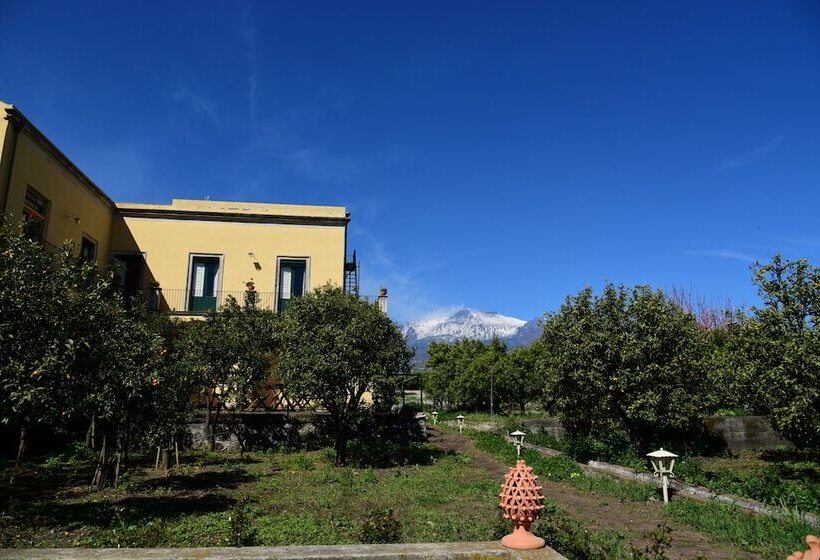 Bed and Breakfast Giardino Arancio