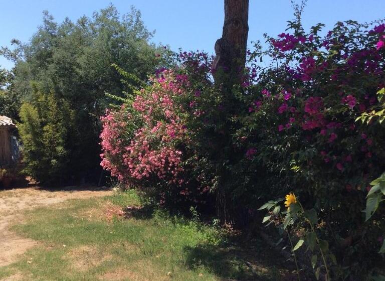 ベッドアンドブレックファースト Villa Isabella