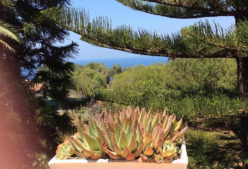 ベッドアンドブレックファースト Villa Isabella