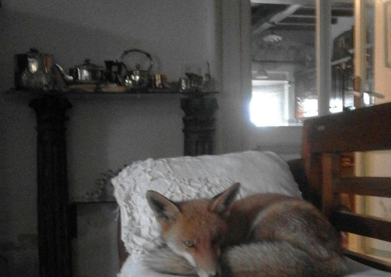 Gli Olmi B&b